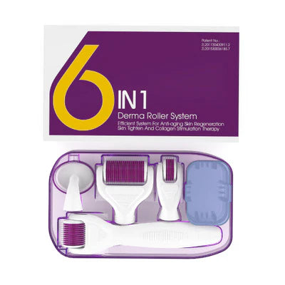 6 in 1 Derma Roller