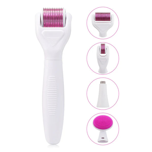 6 in 1 Derma Roller