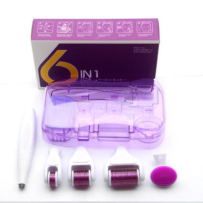 6 in 1 Derma Roller